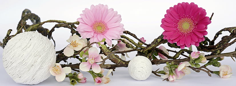 gerbera, flower, flowers, pink, spring decoration, decoration, balls