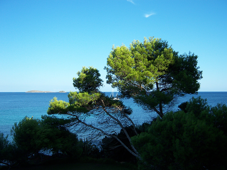 Outlook, море, дърво