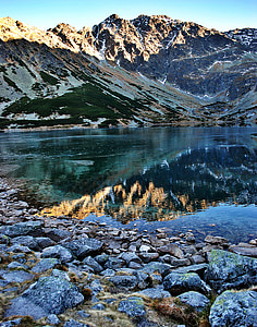 Tatry, bergen, svart damm, vatten, reflektion, sjön, dammen