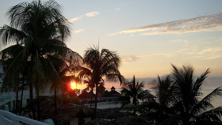 Jamaica, naplemente, Cari, Karib-szigetek, utazás, pálmafa, trópusi éghajlat