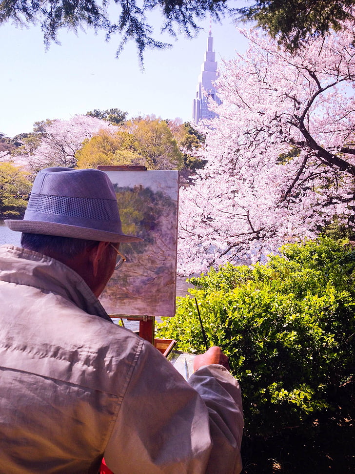 Primavera, Sakura, Japão, flor, árvore, florescendo, Japonês