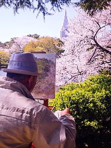 primavera, Sakura, Japón, flor, árbol, florece, Japonés