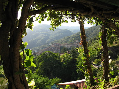 Italia, ciudad de la colina, vid, Liguria, aldea, colinas de, rural