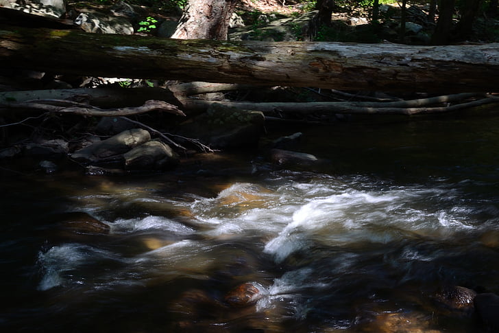 Râul, Stream, natura, jurnal, pădure, apa, care curge