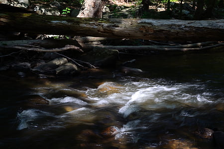 river, stream, nature, log, woods, water, flowing