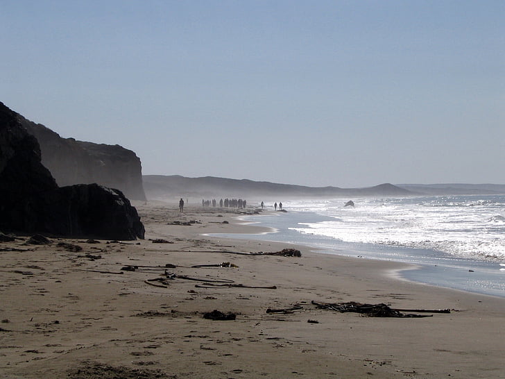Zombiji, pludmale, Apocalypse, cilvēki, silueti, jūra, California