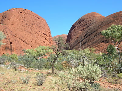 Olgas, montagne, Australie, nature, Uluru, paysage, excursion