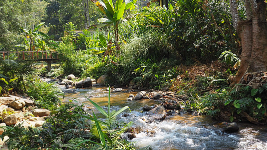 maekampong, Chiang mai Tajland, Prikaz, priroda, potok