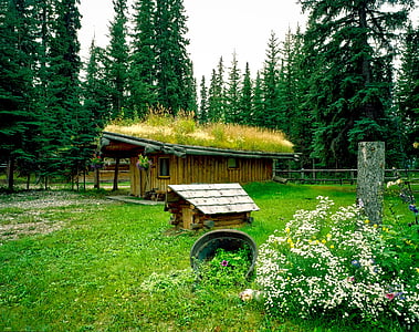 Polo Norte, Alasca, vila, log cabin, rústico, telhado de grama, Colmado
