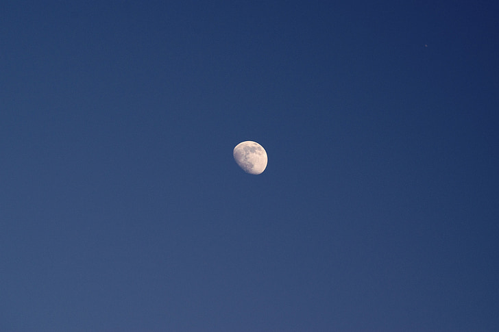 moon, half, sky, blue, sharp, summer, setting