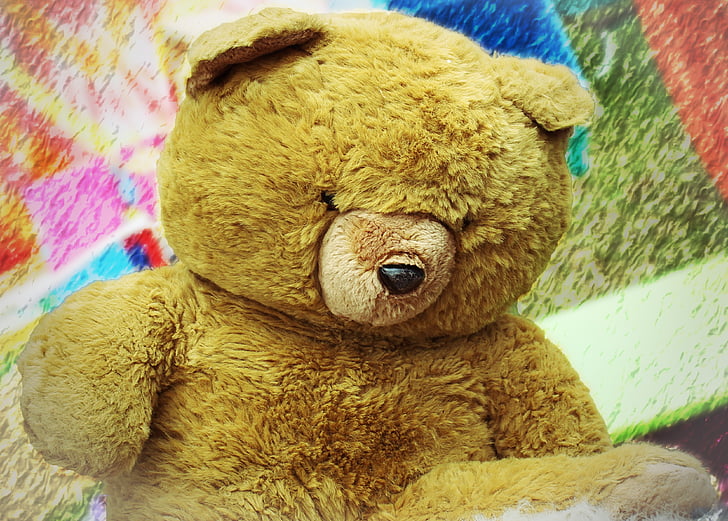 Teddy, Teddy bear, Stofftiere, ausgestopfte Tiere, Bär, Bären