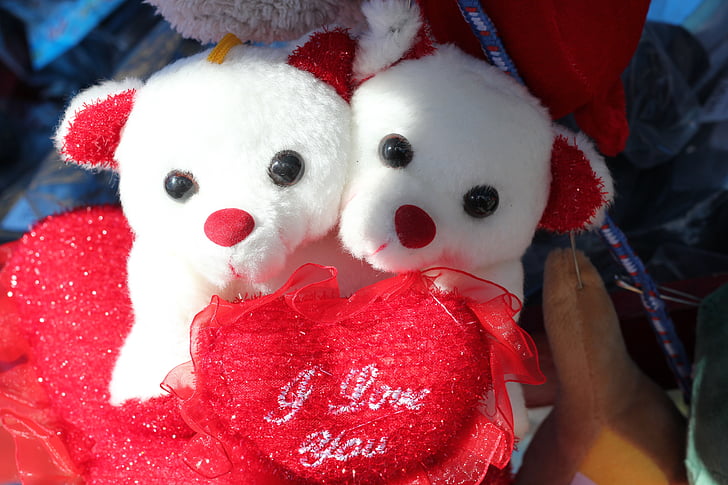 teddy bears, together, in love, cute, nice, relationship, couple