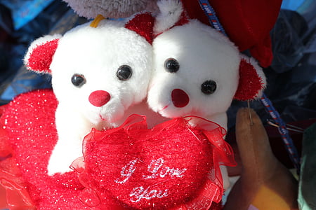 Teddy meškiukai, kartu, įsimylėjęs, mielas, gražu, gražus, santykiai, pora