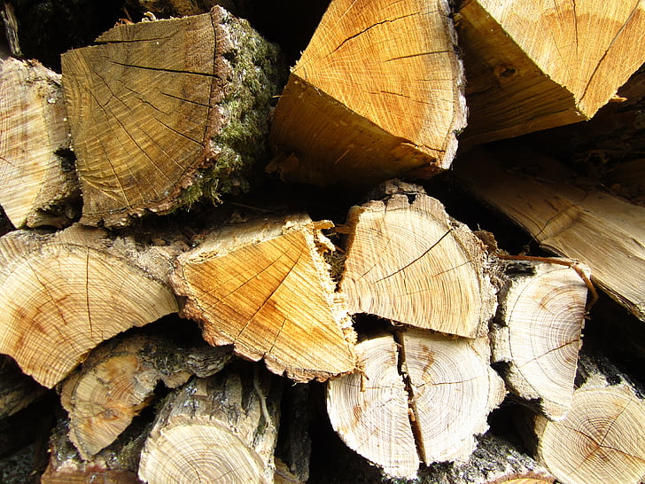 tronchi, legno, foresta, tribù, Priorità bassa