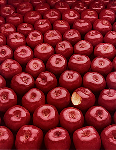 obuoliai, raudona, mielas, vaisių, sveikas, irridated, Bitė