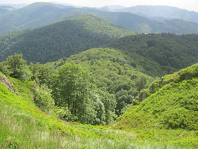Vosges, Hill, skogen, vandring