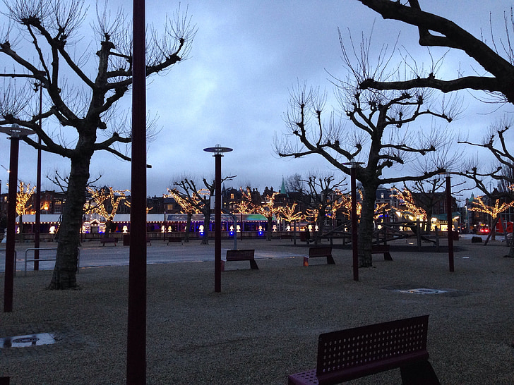 Amsterdam, Nederländerna, kvällen, vinter, träd, staden, Museumplein