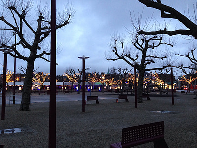 Amsterdam, Pays-Bas, soirée, hiver, arbres, ville, place du Musée