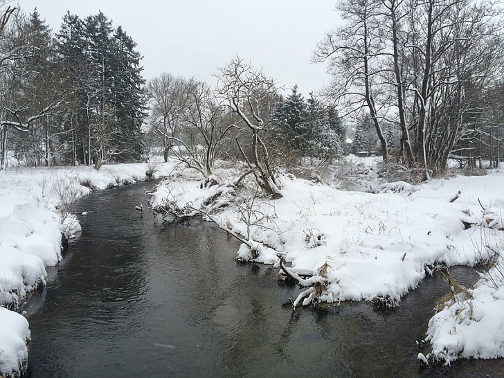 located, winter, snow, bach, creek, nature, ice