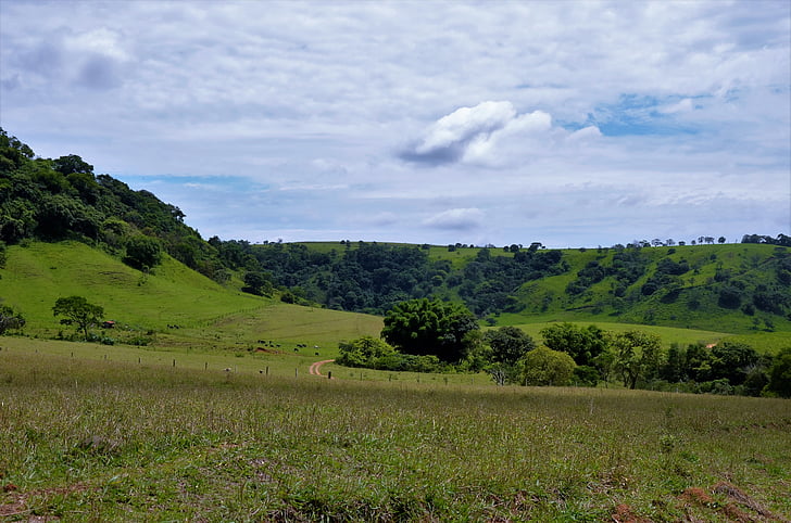 krajobraz, zielony, ząbkowane, Brazylia, obszarów wiejskich