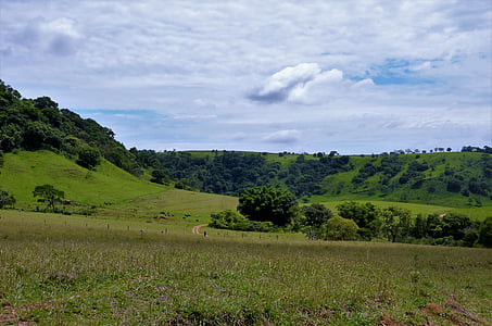 paysage, vert, dentelé, Brésil, rural