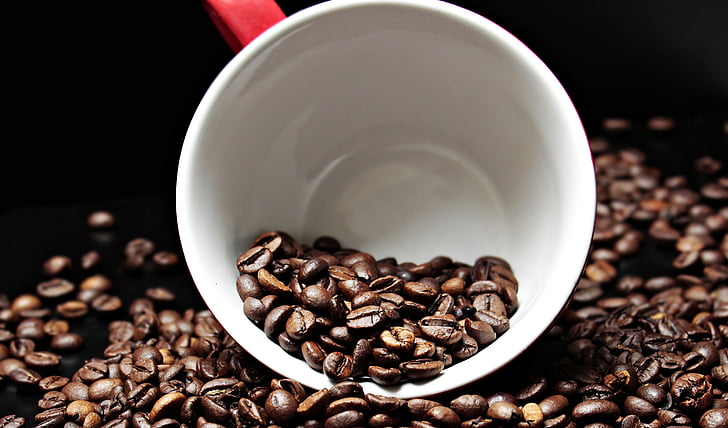kávová zrna, šálek kávy, pohár, káva, potěšení, fazole, kofein