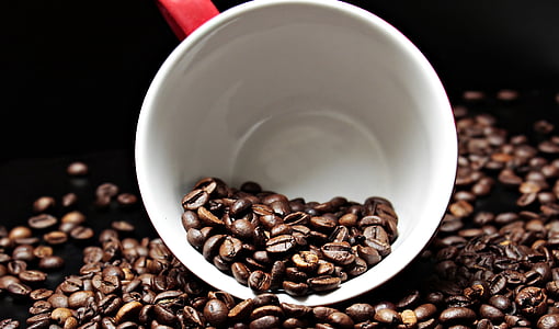 kávové zrná, šálka kávy, pohár, káva, potešenie, fazuľa, Kofeín