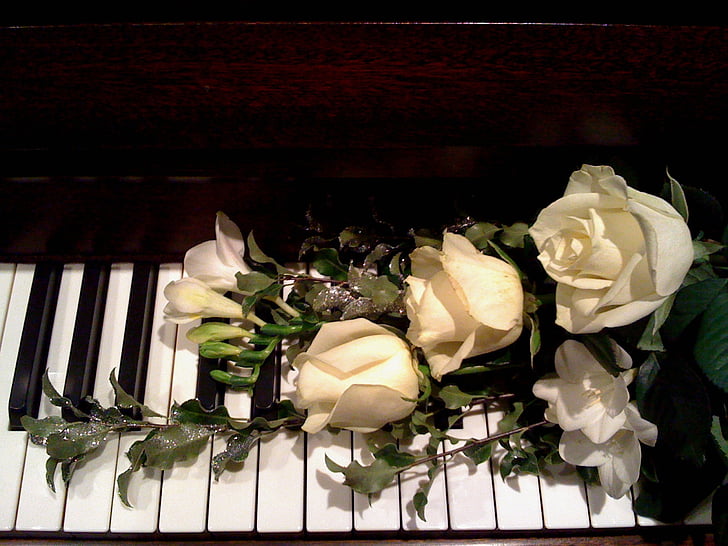 fortepijonas, rožės, muzika, Romantiškas, meilė, fortepijono klavišų, puokštė