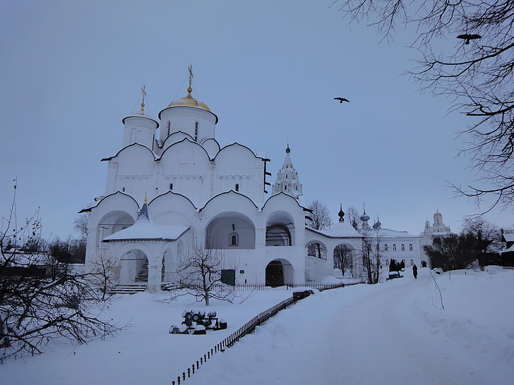 Суздал, зимни, храма, Църква, сняг, купол, Русия