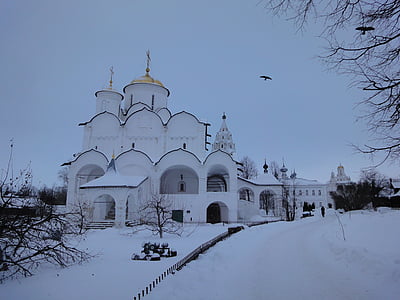 Суздаль, Зима, Храм, Церковь, снег, купол, Россия