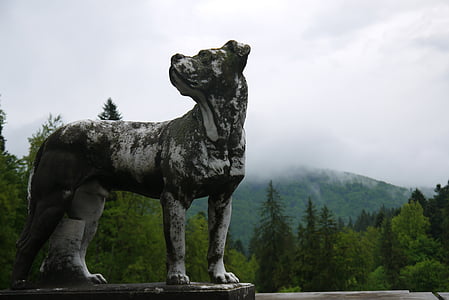 sculpture, dog, romania, statue