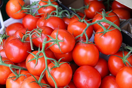 färsk, röd, Söt, tomat, tomater, Köpenhamn, Danmark
