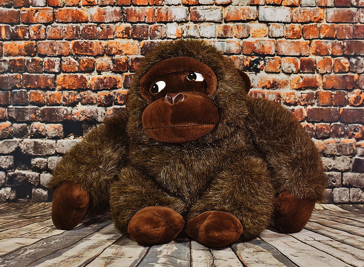 м'яка іграшка, іграшки, плюшевий ведмедик, Горила, Мавпа, цегляна стіна, одна тварина