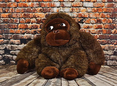 soft toy, toys, teddy bear, gorilla, monkey, brick wall, one animal