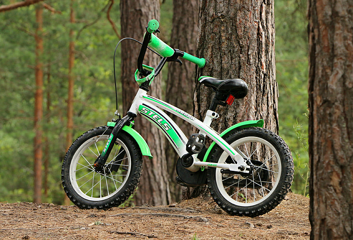 rower, dla dzieci, spacer po, lasu, sportowe, podróż, jeździć