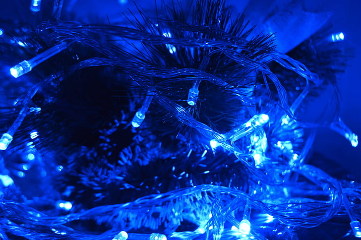 Brad, lampu, Natal, Selamat Natal, tahun lagi, tahun baru, gambar musim dingin