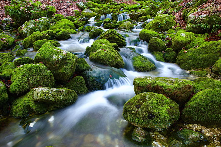 source, water, torrent, rock, nature, stream, into the woods