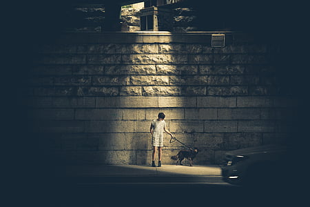 boy, holding, dog, leash, street, light, streetlight