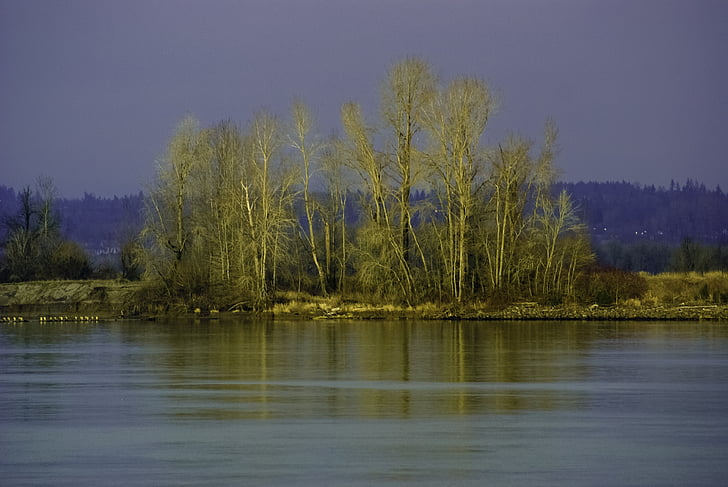 floden, Shore, faller, färg, sauvie ö, Oregon, Columbia river