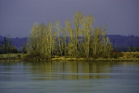 rivier, oever, Val, Kleur, sauvie eiland, Oregon, Columbia river