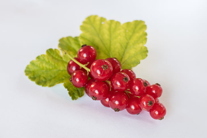 raisins de Corinthe, été rouge, en bonne santé, fruits, petits fruits, fruits, fermer