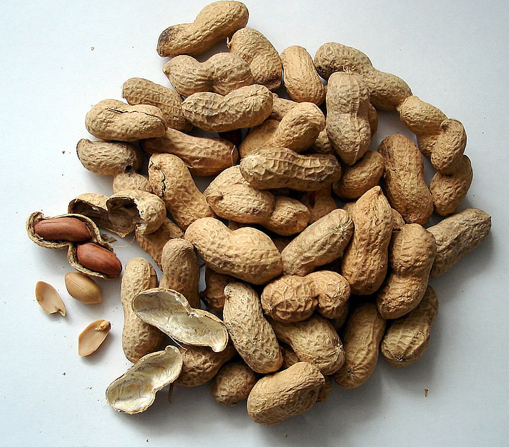 peanuts, nuts, cores, snack