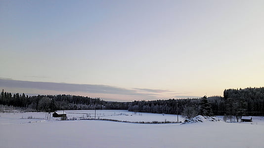 paisaje, campo, Finlandés, nieve, invierno, naturaleza, bosque