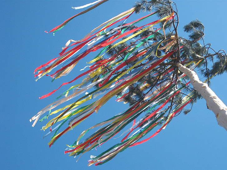 Maypole, celebração, árvore, Maio, férias, decoração, festivo