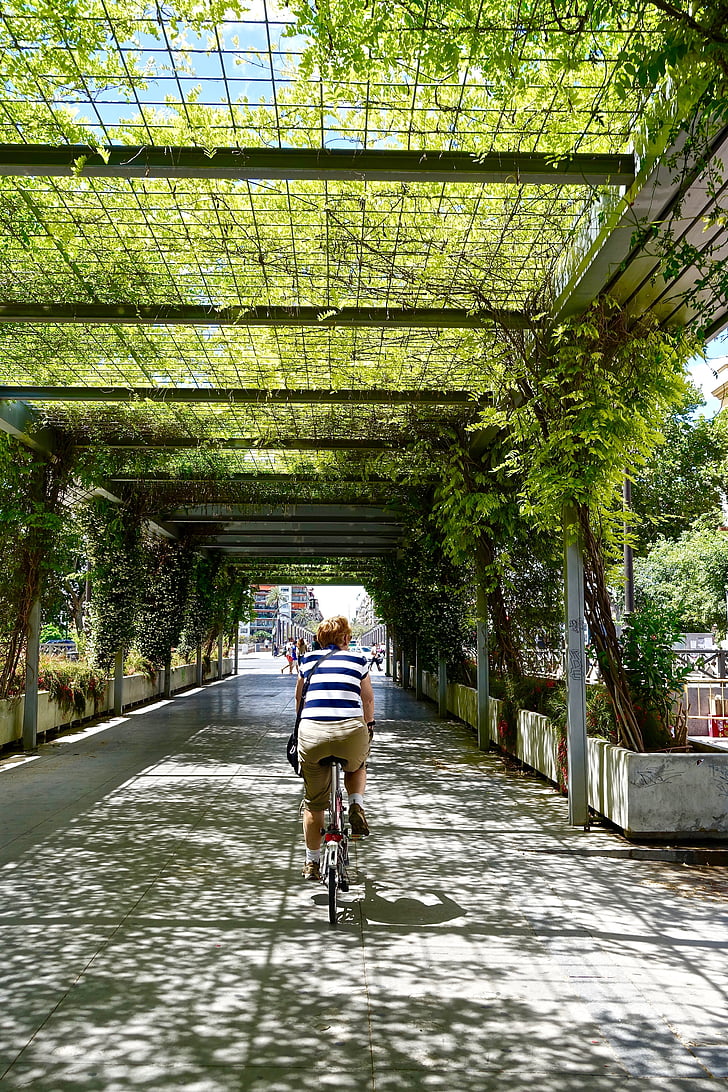 bike rider, perspective, covered, plants