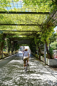 Cavaleiro da bicicleta, perspectiva, cobertos, plantas
