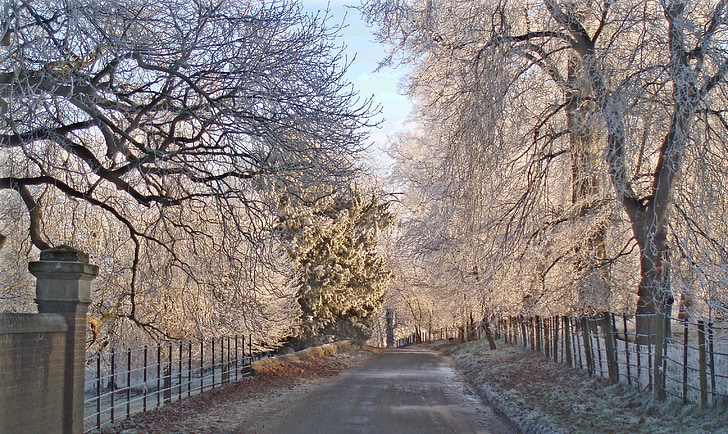 embun beku, Warwickshire, musim dingin, pedesaan, Inggris, desa, dingin
