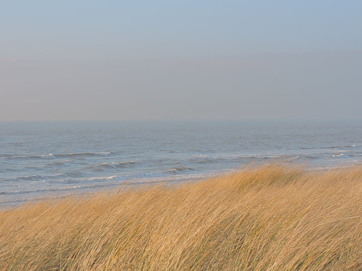 havet, hjælme græs, Dune, Beach