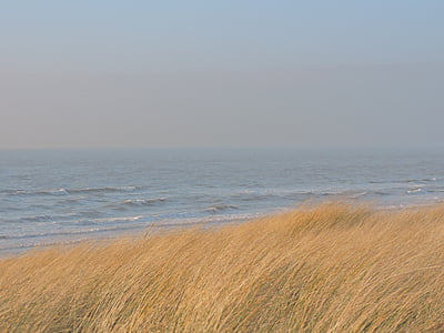 海, marram の草, 砂丘, ビーチ