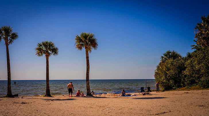 Pine island, Florida, strand, zonlicht, zeegezicht, oever, zand
